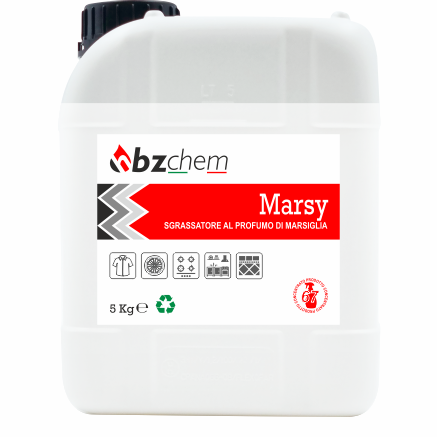 MARSY